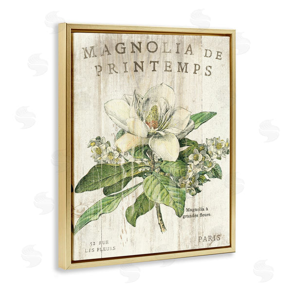 Stupell Industries Sue Schlabach | French Magnolias In Spring