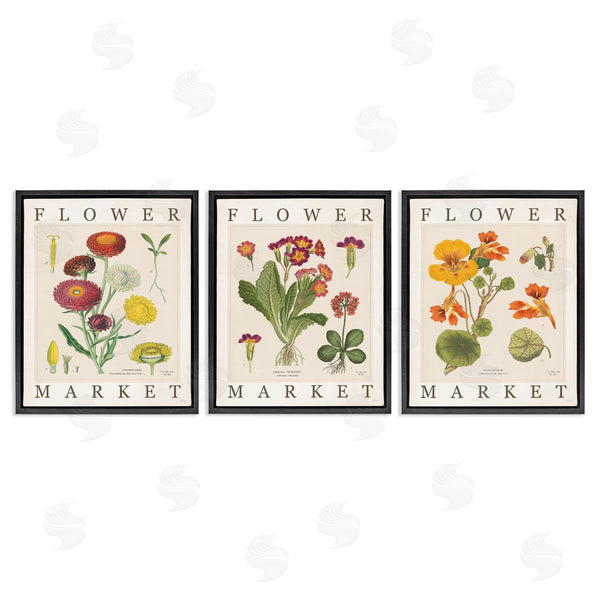Stupell Industries Sue Schlabach | Vintage Flower Market Blooms Wall Art