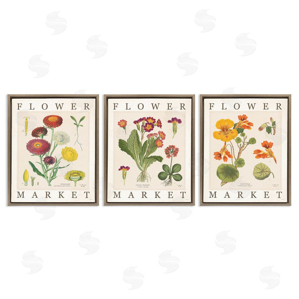 Stupell Industries Sue Schlabach | Vintage Flower Market Blooms Wall Art