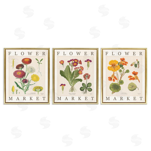 Stupell Industries Sue Schlabach | Vintage Flower Market Blooms Wall Art