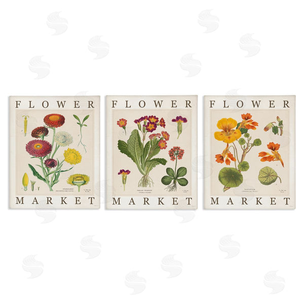 stupell industries Sue Schlabach | Vintage Flower Market Blooms Wall Art