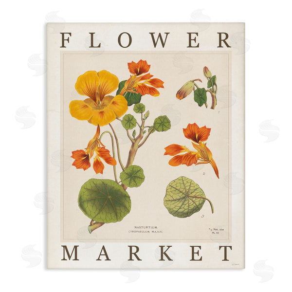 stupell industries Sue Schlabach | Vintage Flower Market Blossoms