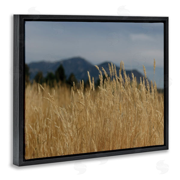 Stupell Industries Sue Schlabach | Wheat Field Landscape Wall Art