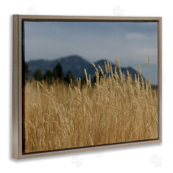 Stupell Industries Sue Schlabach | Wheat Field Landscape Wall Art
