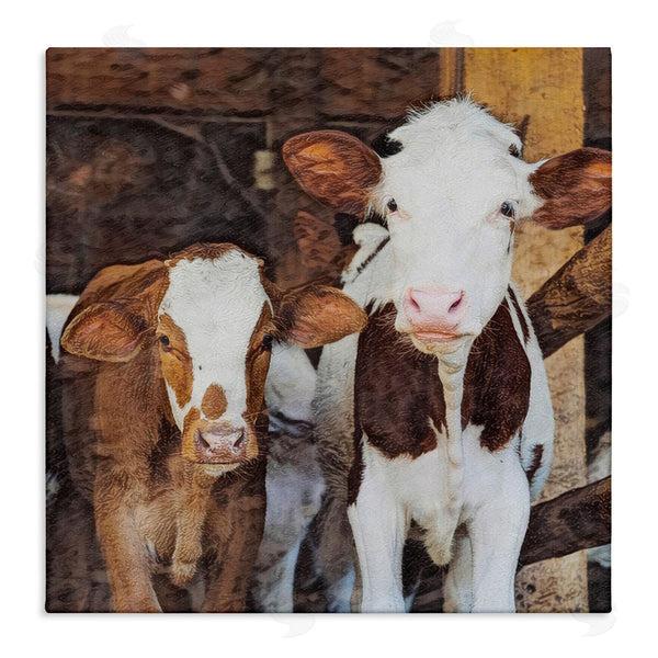 stupell industries SunDance Group LLC | Baby Cows on Farm Wall Art