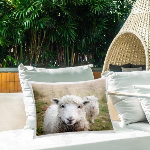 Stupell Industries SunDance Group LLC | Close Up Sheep Gaze