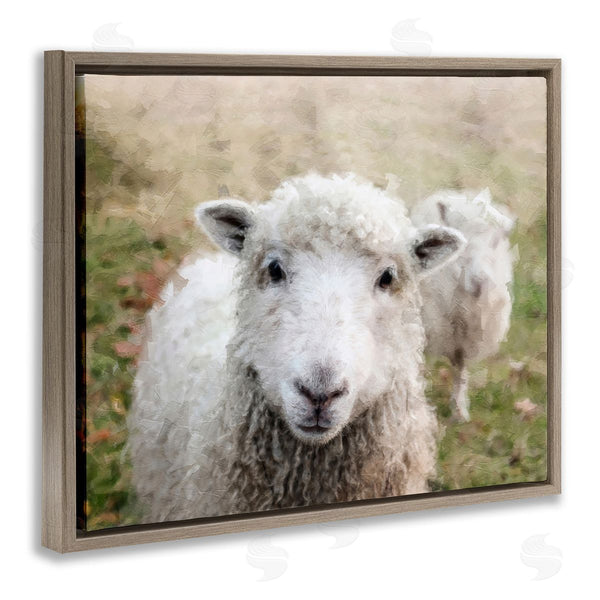 Stupell Industries Sundance Group LLC. | Close Up Sheep Gaze