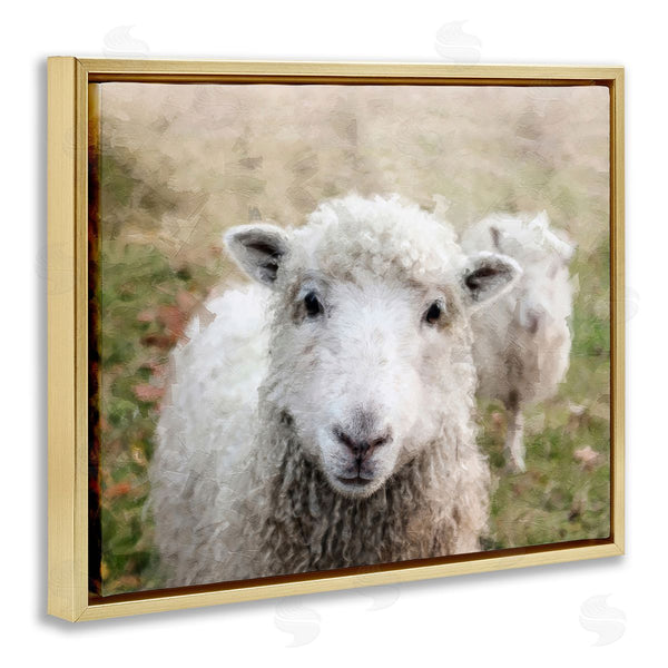 Stupell Industries Sundance Group LLC. | Close Up Sheep Gaze