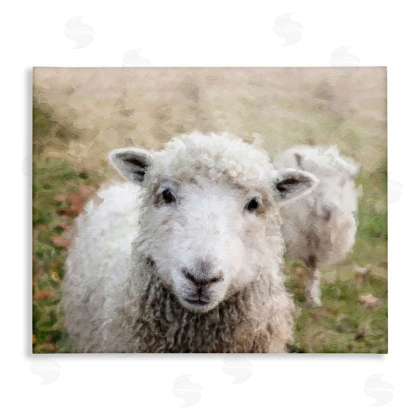 stupell industries Sundance Group LLC. | Close Up Sheep Gaze