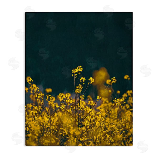 stupell industries SunDance Group LLC | Marigold Meadow Flowers Wall Art