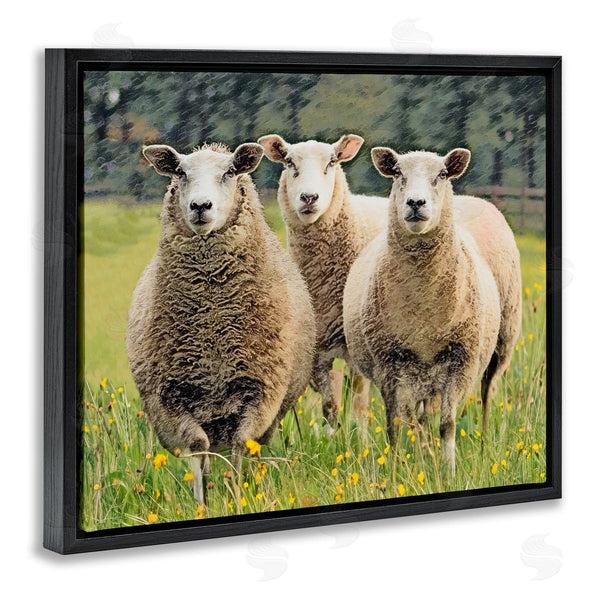 Stupell Industries Sundance Group LLC. | Sheep Grazing In Grass