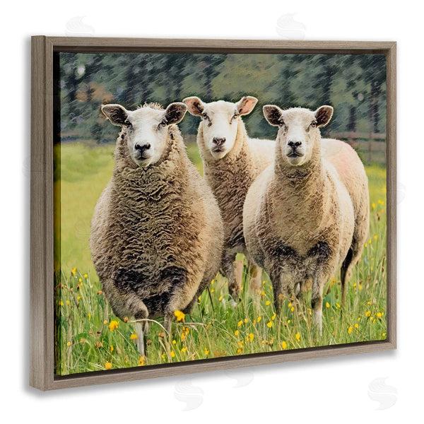 Stupell Industries Sundance Group LLC. | Sheep Grazing In Grass