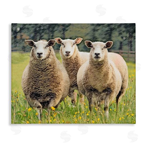 stupell industries Sundance Group LLC. | Sheep Grazing in Grass