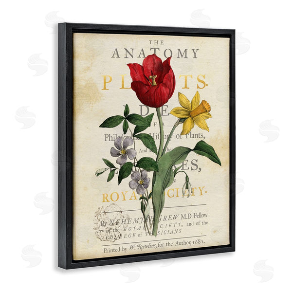 Stupell Industries Susan Arnot | Antique Anatomy Of Plants