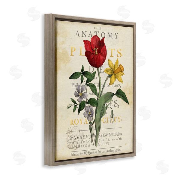 Stupell Industries Susan Arnot | Antique Anatomy Of Plants