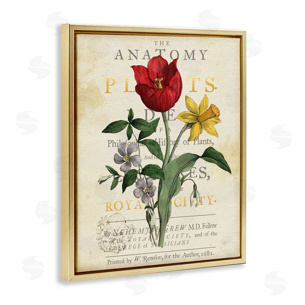Stupell Industries Susan Arnot | Antique Anatomy Of Plants
