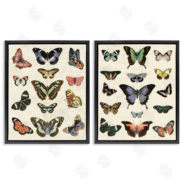 Stupell Industries Susan Arnot | Antique Butterfly Collection