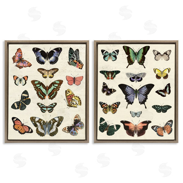 Stupell Industries Susan Arnot | Antique Butterfly Collection