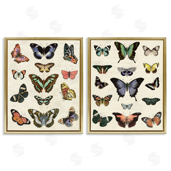 Stupell Industries Susan Arnot | Antique Butterfly Collection