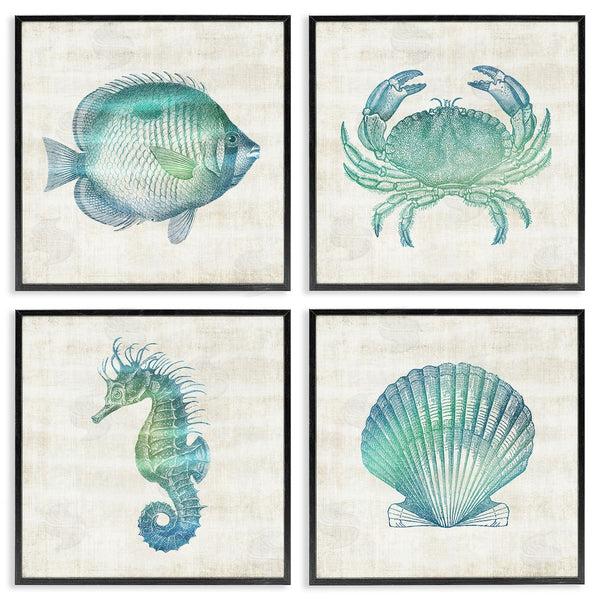 Stupell Industries Susan Arnot | Aquatic Sea Life Impressions Wall Art