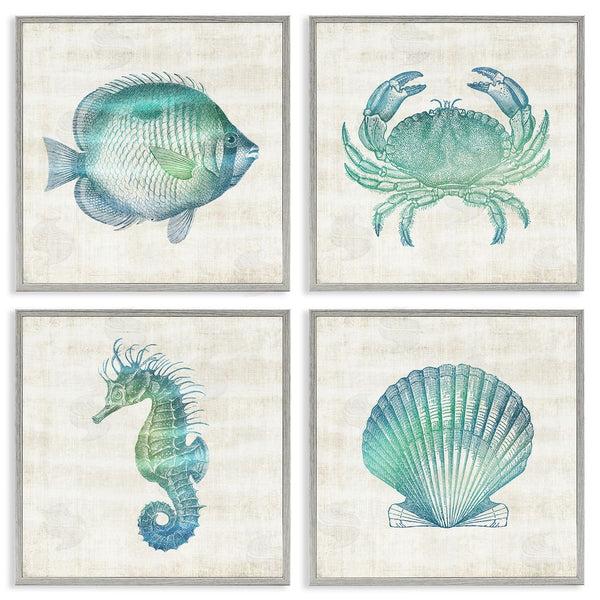 Stupell Industries Susan Arnot | Aquatic Sea Life Impressions Wall Art