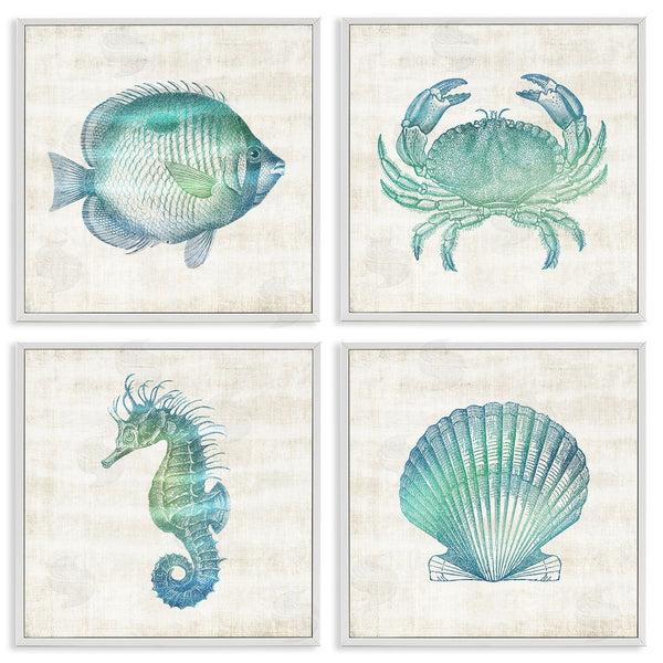 Stupell Industries Susan Arnot | Aquatic Sea Life Impressions Wall Art
