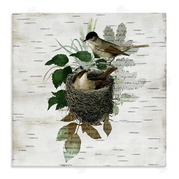 stupell industries Susan Arnot | Birds in Vintage Nest