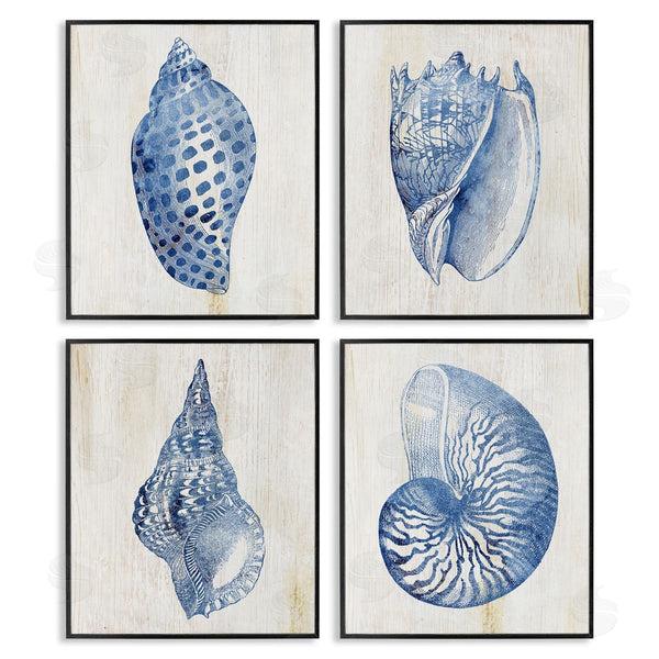 Stupell Industries Susan Arnot | Blue Seashells On Beige Wall Art