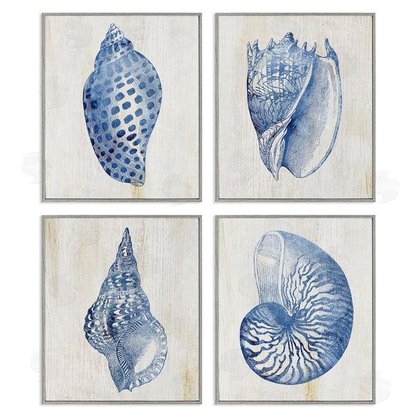 Stupell Industries Susan Arnot | Blue Seashells On Beige Wall Art