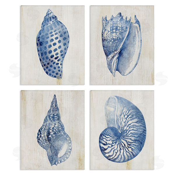 stupell industries Susan Arnot | Blue Seashells on Beige Wall Art