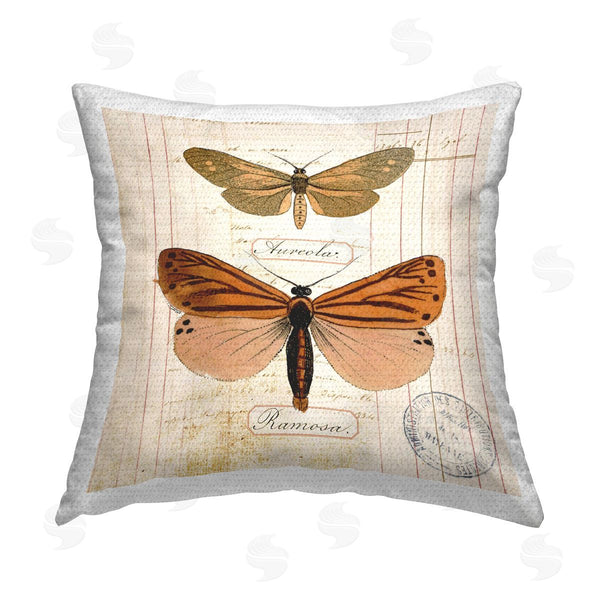 Stupell Industries Susan Arnot | Butterfly Latin Studies Printed Throw Pillow