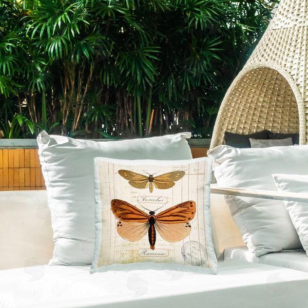 Stupell Industries Susan Arnot | Butterfly Latin Studies Printed Throw Pillow