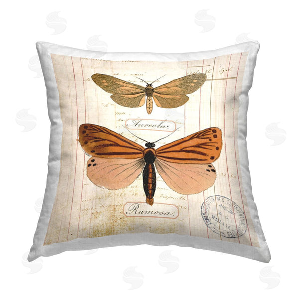 stupell industries Susan Arnot | Butterfly Latin Studies Printed Throw Pillow