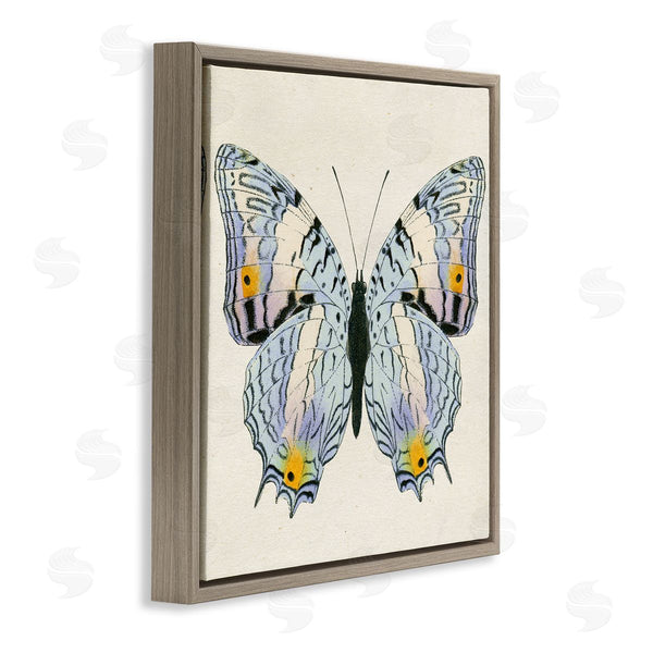 Stupell Industries Susan Arnot | Butterfly With Yellow Details
