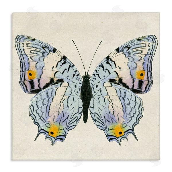 stupell industries Susan Arnot | Butterfly with Yellow Details
