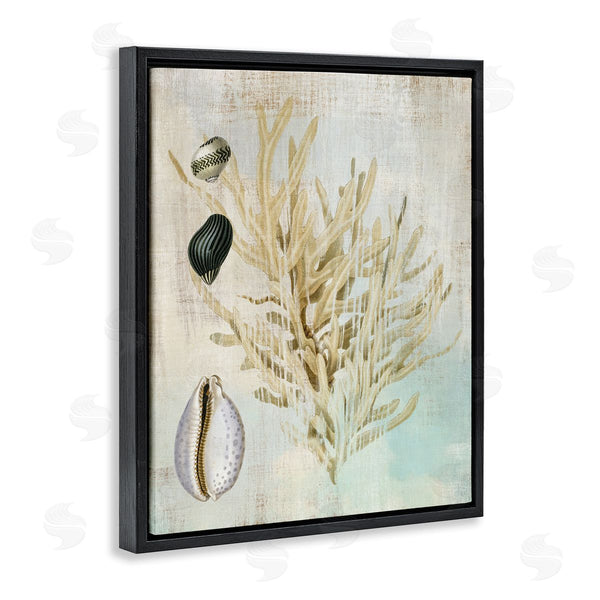 Stupell Industries Susan Arnot | Coral Branch & Cowrie Shells Wall Art