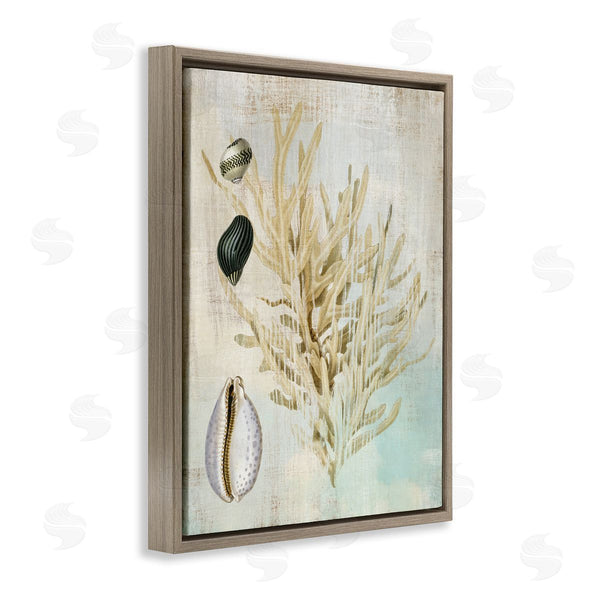 Stupell Industries Susan Arnot | Coral Branch & Cowrie Shells Wall Art