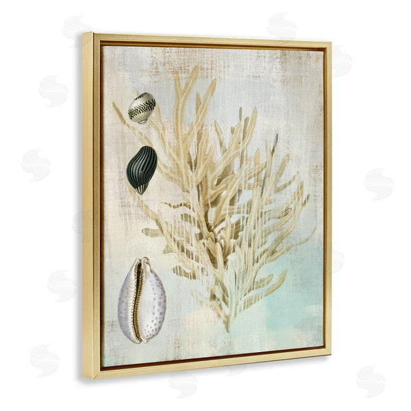 Stupell Industries Susan Arnot | Coral Branch & Cowrie Shells Wall Art