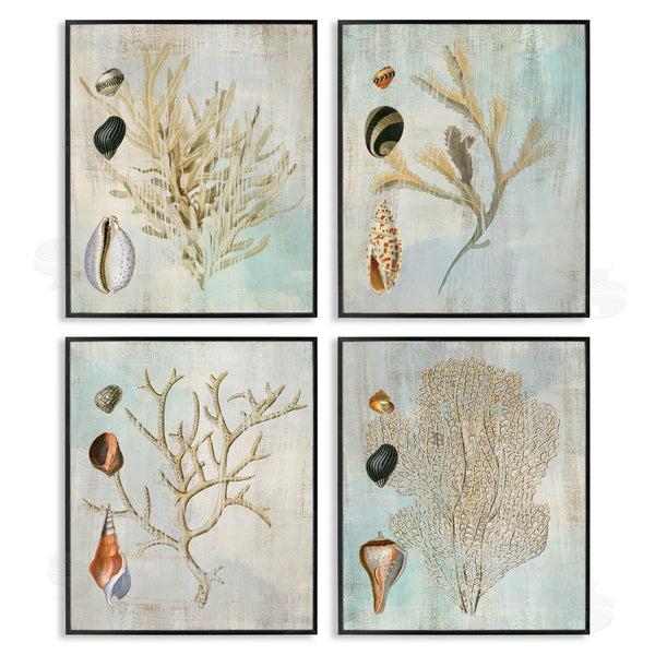 Stupell Industries Susan Arnot | Coral Branches With Various Seashells Wall Art