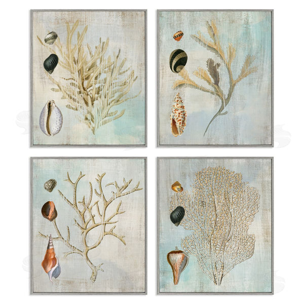 Stupell Industries Susan Arnot | Coral Branches With Various Seashells Wall Art