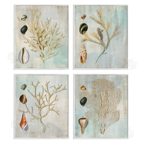 Stupell Industries Susan Arnot | Coral Branches With Various Seashells Wall Art