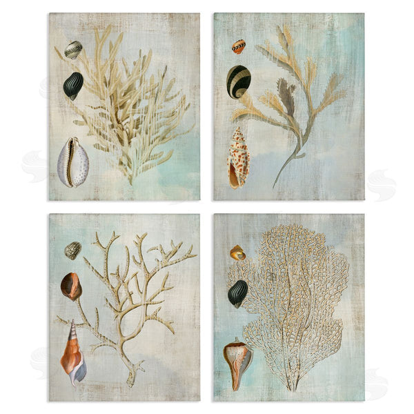 stupell industries Susan Arnot | Coral Branches with Various Seashells Wall Art