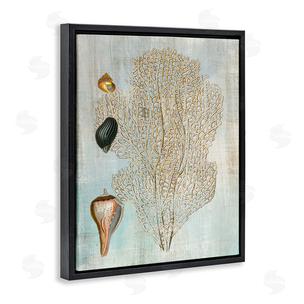 Stupell Industries Susan Arnot | Detailed Coral & Seashells Wall Art