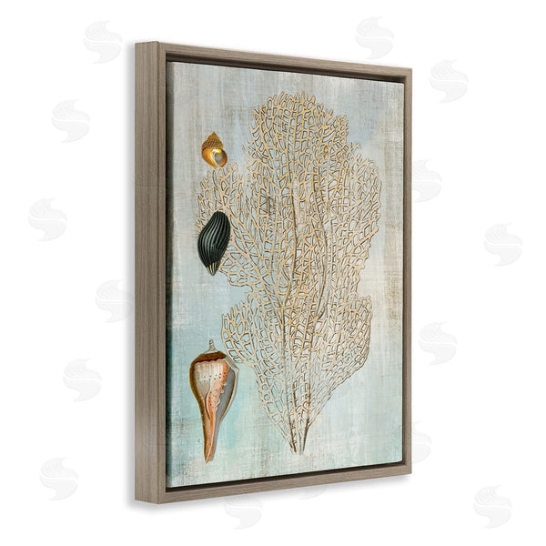 Stupell Industries Susan Arnot | Detailed Coral & Seashells Wall Art