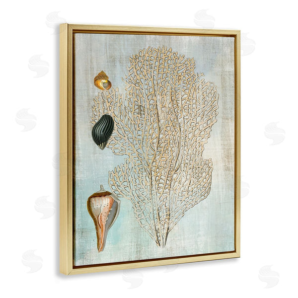 Stupell Industries Susan Arnot | Detailed Coral & Seashells Wall Art
