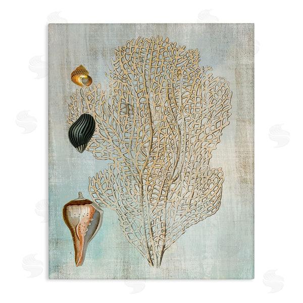 stupell industries Susan Arnot | Detailed Coral & Seashells Wall Art