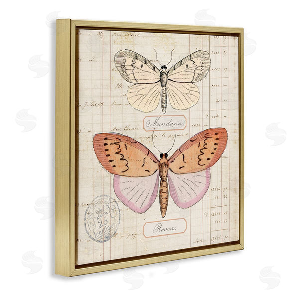 Stupell Industries Susan Arnot | Drawn Butterfly Studies