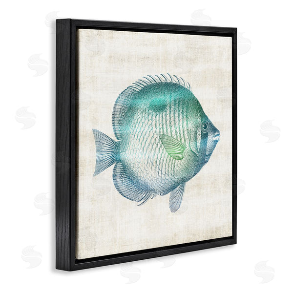 Stupell Industries Susan Arnot | Fish Impression Sea Life