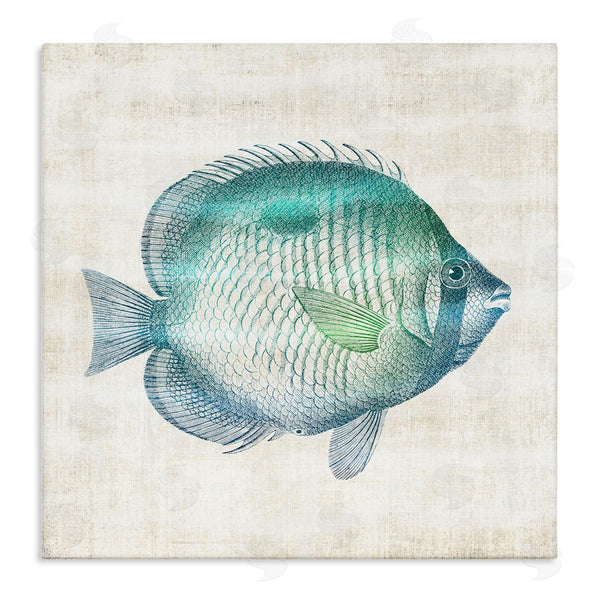 stupell industries Susan Arnot | Fish Impression Sea Life
