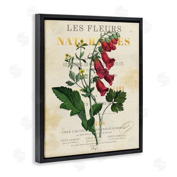 Stupell Industries Susan Arnot | Flower Over Aged French Page Wall Art